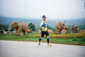 BIB: 
                            <button type="button" onclick="openModal(22406295)" class="btn btn-primary btn-sm float-right btn-popup" data-toggle="modal" data-target=".modal-high-quality">
                        <i class="fas fa-shopping-cart"></i> Add to Cart
                    </button>
                                            <button type="button" onclick="isThisMe(22406295, true)" class="btn btn-success btn-sm float-right btn-popup btn-isme hidden" data-toggle="tooltip" data-placement="bottom" title="นี่คือรูปของคุณใช่ไหม คลิกที่นี่เพื่อเอาเข้าอัลบั้ม">
                        <i class="fas fa-plus"></i> Add to album
                    </button>
                    <button type="button" onclick="isThisMe(22406295, false)" class="btn btn-warning btn-sm float-right btn-popup btn-isnotme hidden">
                        <i class="fas fa-ban"></i> Remove from album
                    </button>